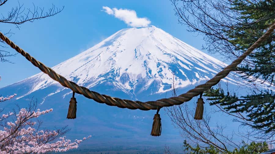 Full-Day Tour to the Picturesque Spots of Mount Fuji - Who should book this Mount Fuji day trip?