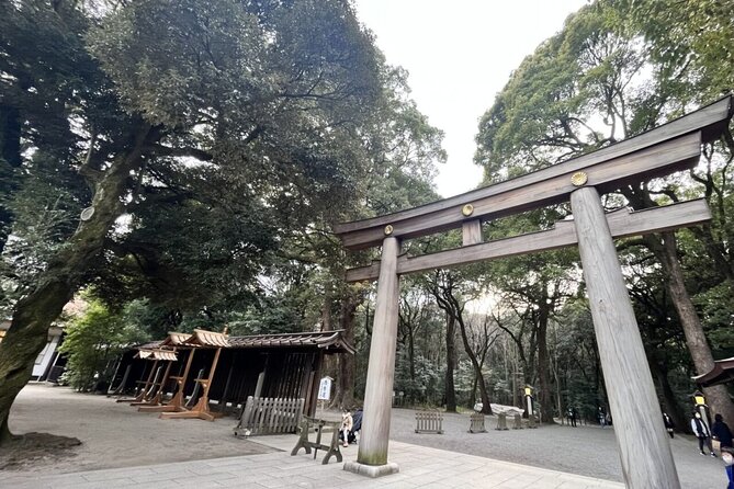 Full Day Walking Tour in Shinjuku and Shibuya - Why this eight-hour route works for a first Tokyo day