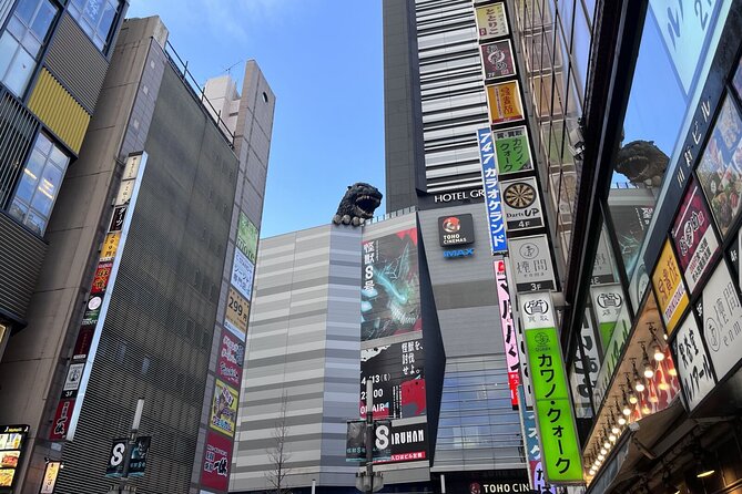 Full Day Walking Tour in Shinjuku and Shibuya - Guides Beth and Jeff add practical value