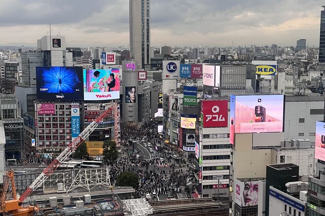 Full Day Walking Tour in Shinjuku and Shibuya - Is $165.19 a fair price?