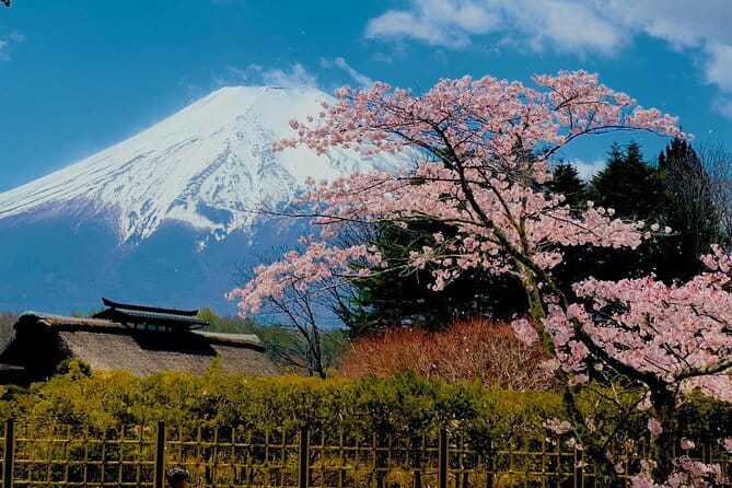 Full Guided Mt. Fuji & Hakone Attractive Private Day Tour - What this private Fuji and Hakone day feels like