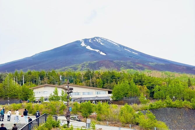 Full Guided Mt. Fuji & Hakone Attractive Private Day Tour - Gotemba Premium Outlets and the cost of flexibility