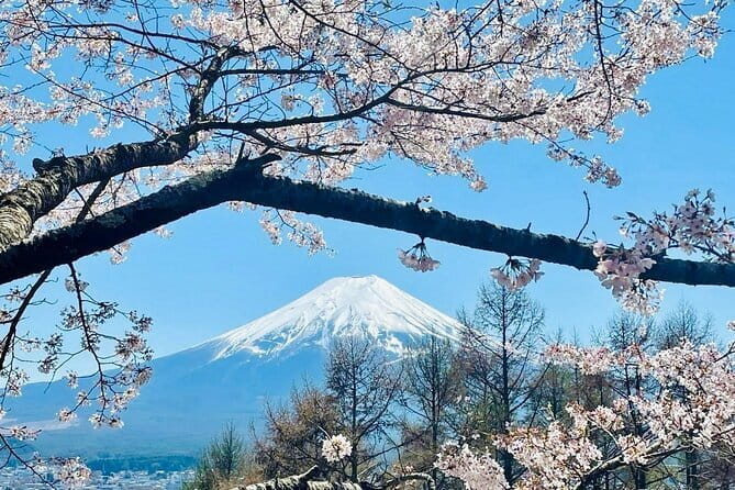 Full Guided Mt. Fuji & Hakone Attractive Private Day Tour - Mt. Fuji 5th Station: high views without a climb