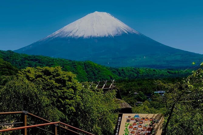 Full Guided Mt. Fuji & Shiba-Sakura Festival One Day Pvt.Tour - Why this private Fuji day works
