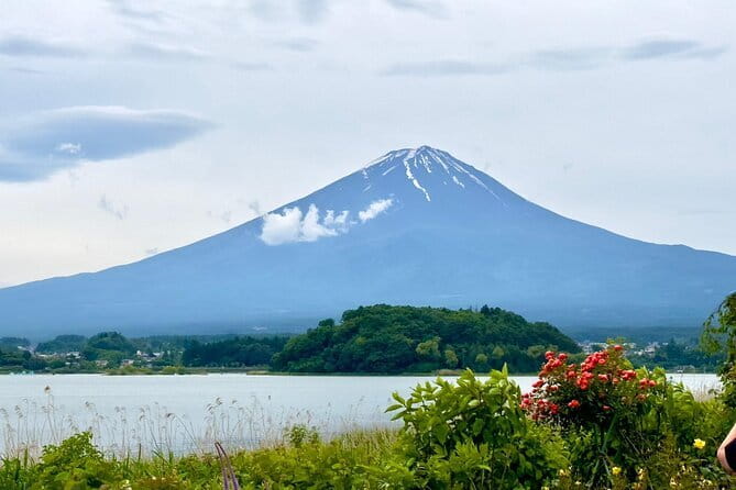 Full Guided Mt. Fuji & Shiba-Sakura Festival One Day Pvt.Tour - Oshino Hakkai’s clear spring ponds