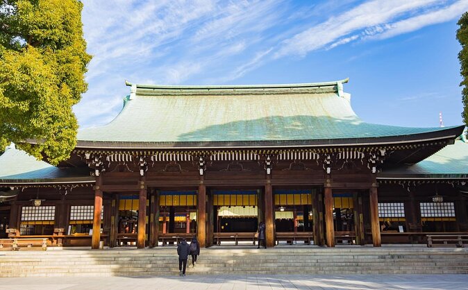 Get Unique Insights into Tokyo - Private Tour with local Guide - Key points before you book