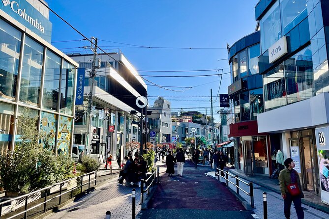 Get Unique Insights into Tokyo - Private Tour with local Guide - What the guide adds beyond a standard city walk
