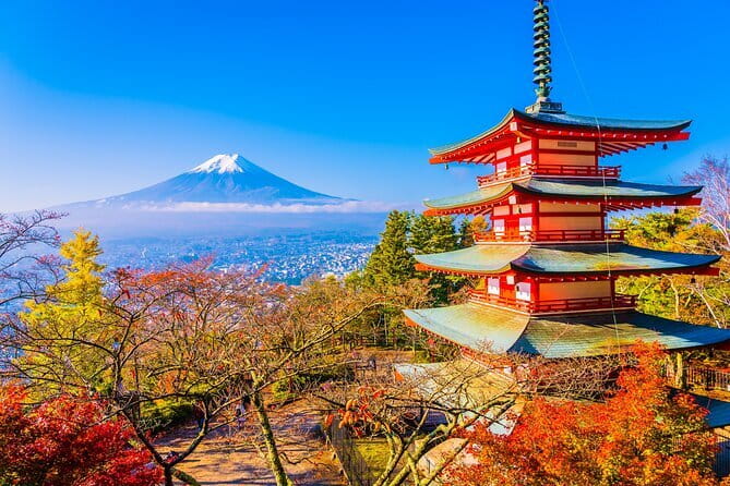 Ginza Go Kart Experience with Neo Ginza - Day or night: choosing the right departure