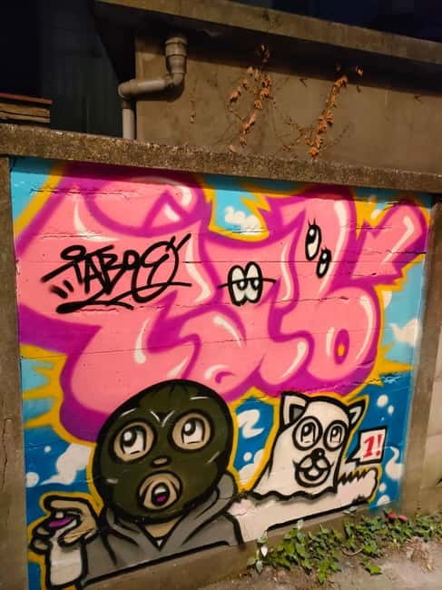 Graffiti in Tokyo Walking Tour: Shibuya and Harajuku - Who will enjoy this walk most?