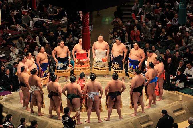 Grand Sumo Tournament Tour w/an English Guide ,Tokyo January 2026 - What the Small Group Adds