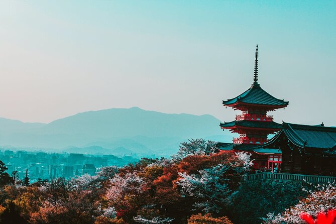Hakone and Mt. Fuji Day Trip with Private Vehicle - A long but simple escape from Tokyo