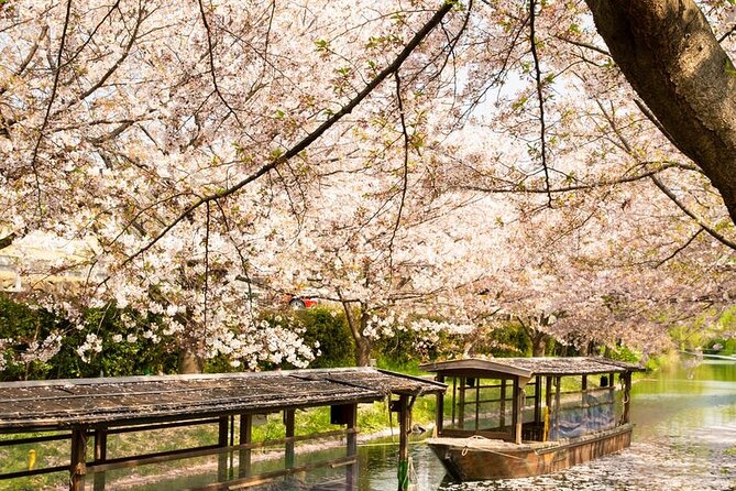 Hakone and Mt. Fuji Day Trip with Private Vehicle - The Open-Air Museum is the strongest all-weather stop