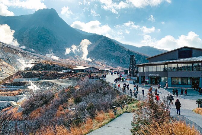 Hakone and Mt. Fuji Day Trip with Private Vehicle - Price, extra tickets, and the value for a group