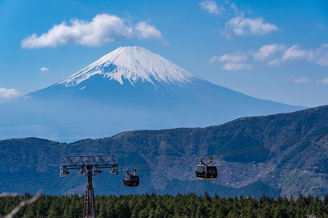 Hakone and Mt Fuji Private Custom Tour with English Guide - Chureito Pagoda and two important shrines