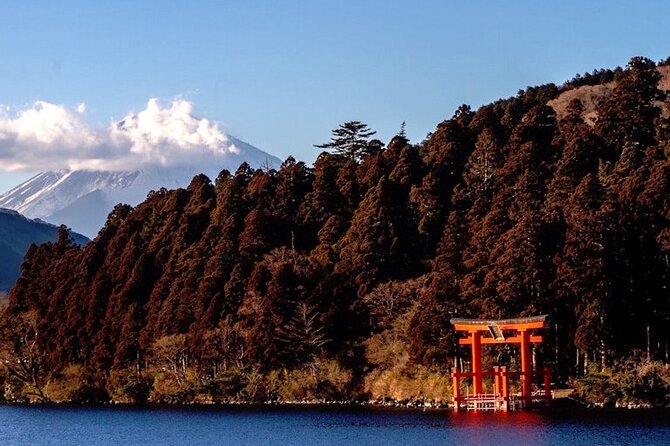 Hakone and Mt Fuji Private Custom Tour with English Guide - Owakudani and the famous black egg