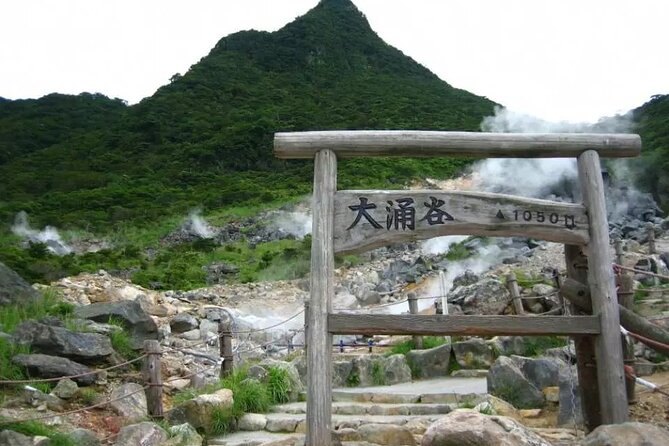 Hakone Free Pass, 2-3 Days Travel Voucher Japan - Cable car, Ropeway, and Owakudani