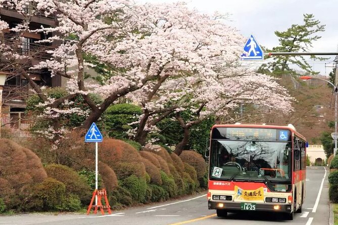 Hakone Free Pass, 2-3 Days Travel Voucher Japan - Lake Ashi sightseeing cruise