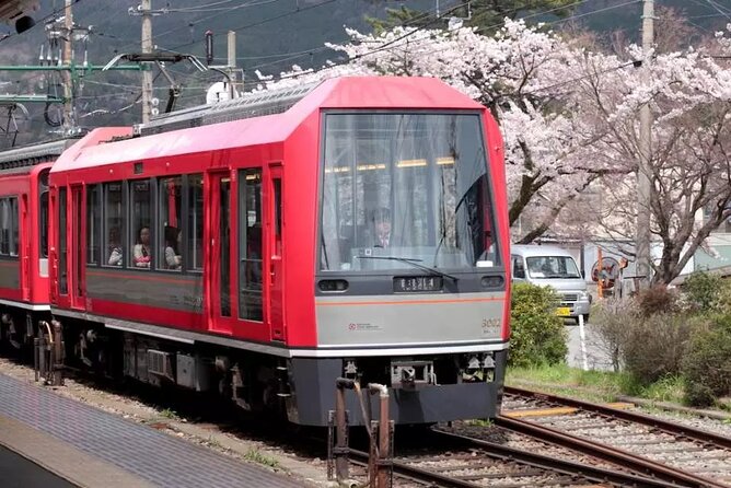 Hakone Free Pass, 2-3 Days Travel Voucher Japan - Hakone Tozan Railway and the mountain climb