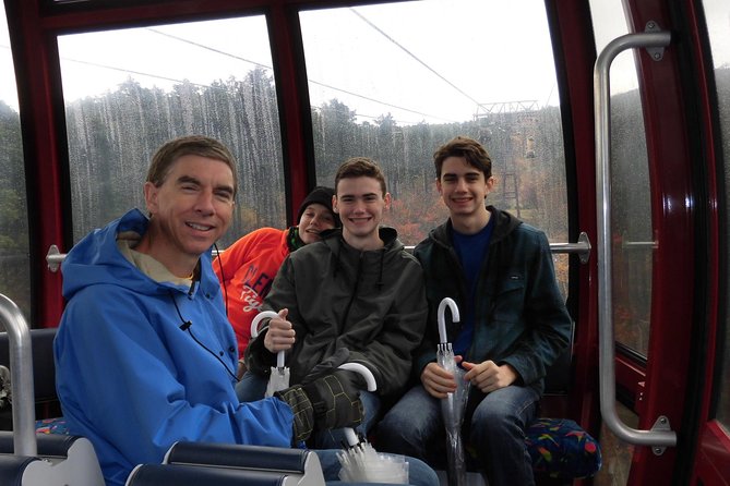 Hakone Full-Day Private Tour By Public Transportation - Owakudani Valley and active volcanic ground