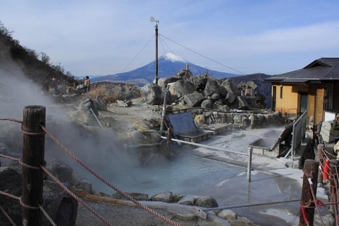 Hakone Full-Day Private Tour By Public Transportation - Weather, walking, and the ten-hour pace