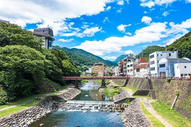 Hakone Full-Day Private Tour(Tokyo DEP.) with Government-Licensed Guide - Gardens, temples, and smaller specialty stops