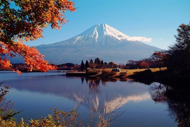 Hakone Full-Day Private Tour(Tokyo DEP.) with Government-Licensed Guide - Who should book this Hakone tour