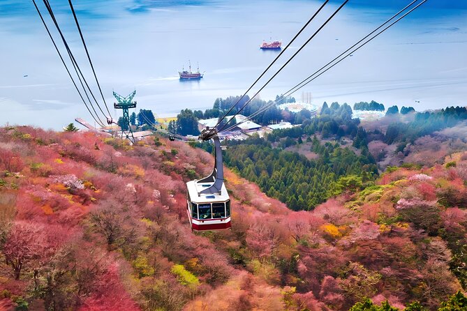 Hakone Private Customized Day Tour - A flexible schedule is useful, but only with a plan