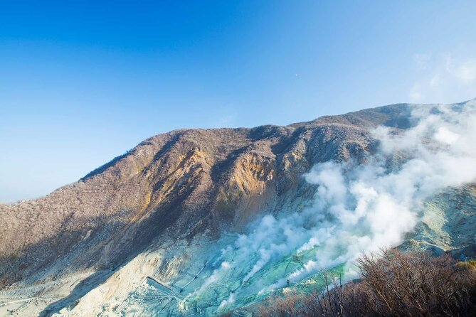 Hakone Private Customized Day Tour - Owakudani brings volcanic Hakone into view