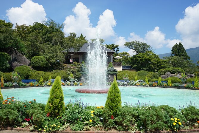Hakone Private One Day Tour From Tokyo: Mt Fuji, Lake Ashi, Hakone National Park - Optional Stops and What They Add