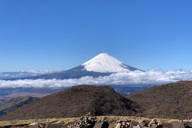 Hakone Private One Day Tour From Tokyo: Mt Fuji, Lake Ashi, Hakone National Park - Lake Ashi, the Pirate Ship, and Hakone Shrine