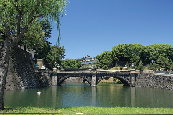 Half-day Tokyo Afternoon Tour by Hato Bus - Bus comfort, group size, and the traffic factor