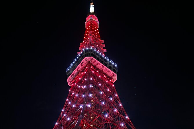Haneda Airport Private Transfer – Luxury Car & Meet & Greet - Delays, missed pickups, and the cancellation rule