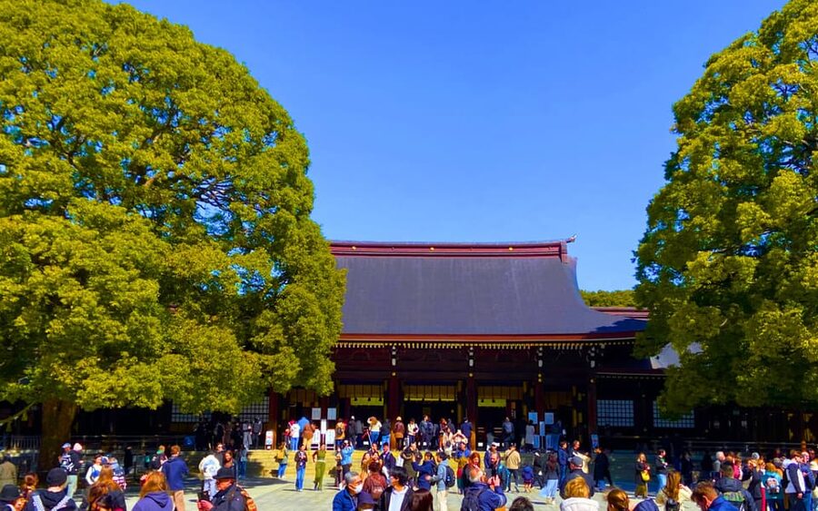 Harajuku : Blend of Tradition & Pop Culture for Family Tour - Entering Meiji Shrine through the forest
