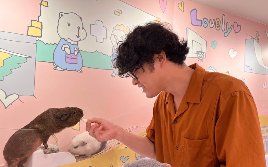 Harajuku : Blend of Tradition & Pop Culture for Family Tour - Meeting the micro pigs at mipig cafe