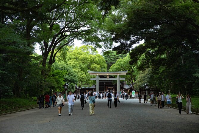 Harajuku Meiji Shrine Walking Tour in Tokyo - Practical details for a smoother experience