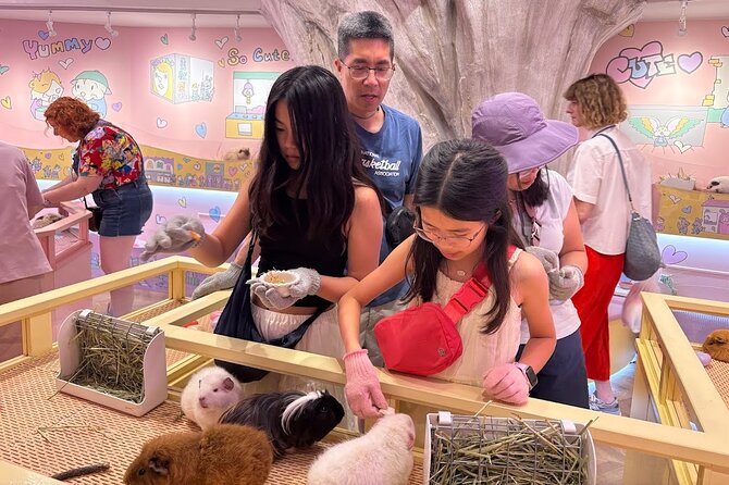 Harajuku Private Tour: Kawaii Fashion & Animal Cafe Included - Stickers, toys, and the fun of small shops