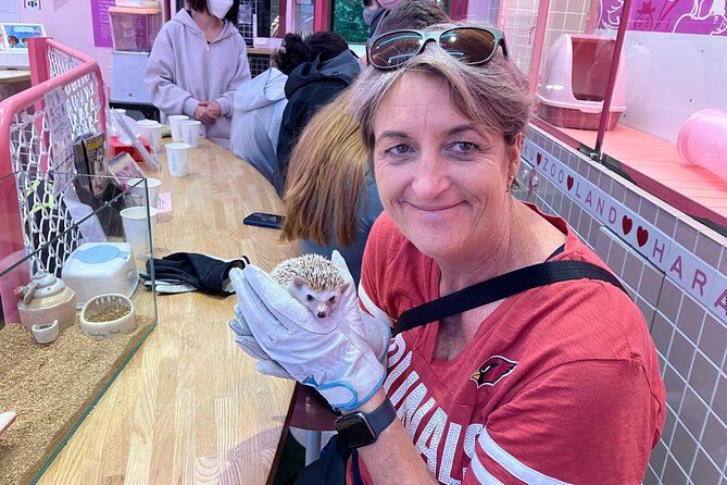 Harajuku Private Tour: Kawaii Fashion & Animal Cafe Included - Omotesando, Tokyu Plaza, and a calmer finish