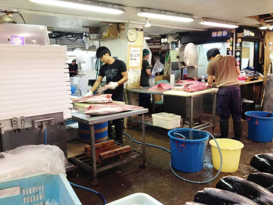 Highlights of Tokyo Private Tour with a Licensed Guide - Key points to know before booking