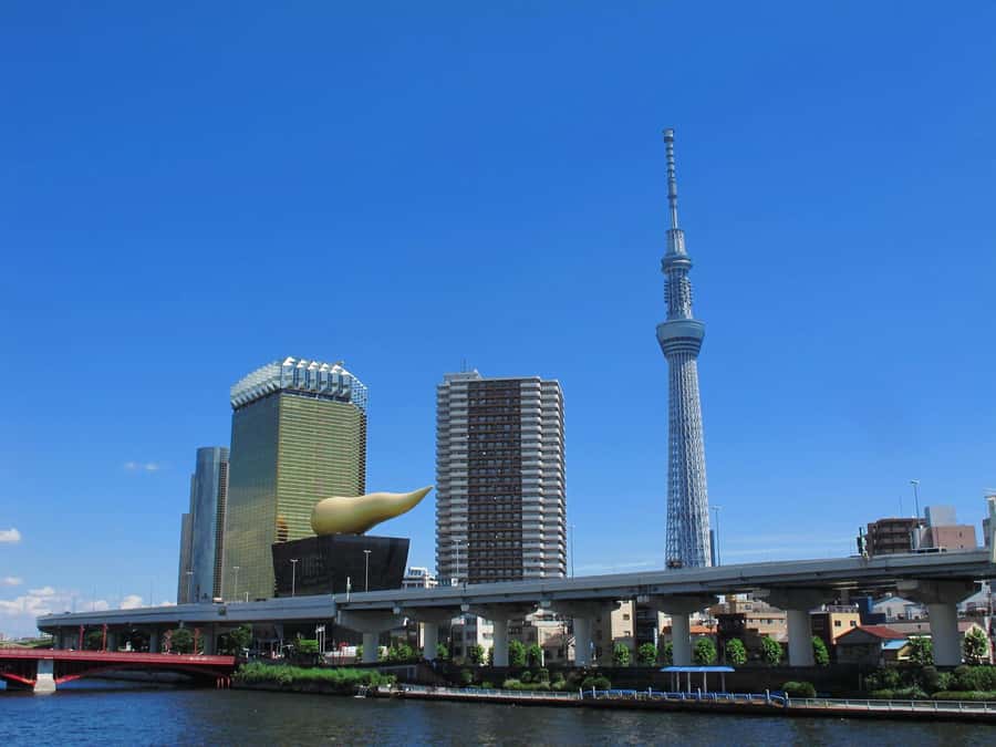 Highlights of Tokyo Private Tour with a Licensed Guide - Asakusa and Sensoji Temple at the end