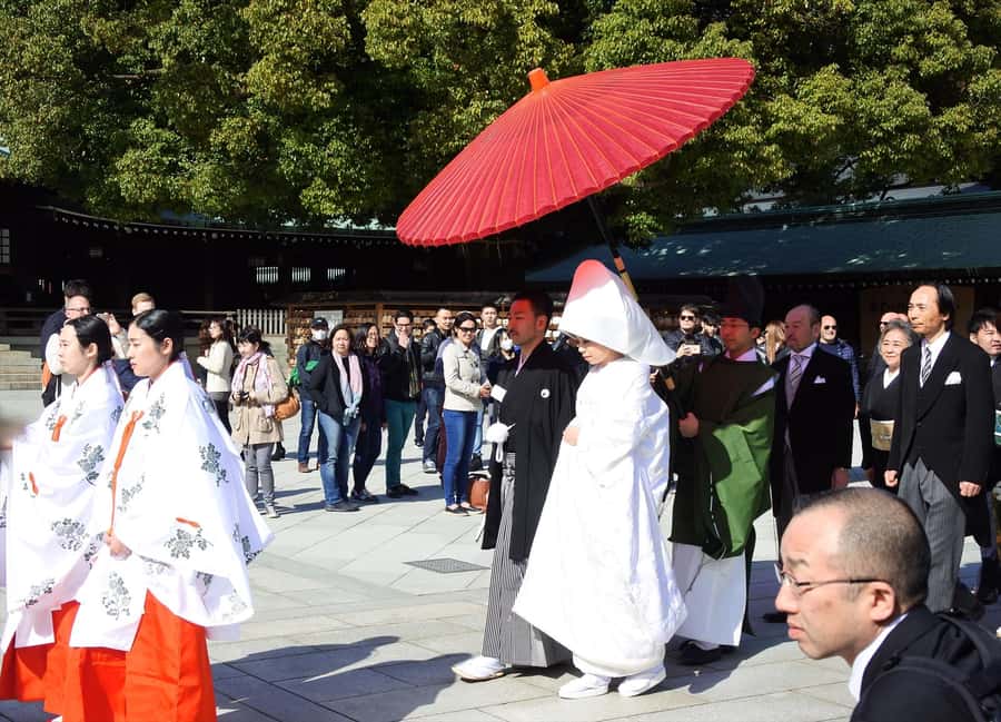 Highlights of Tokyo Private Tour with a Licensed Guide - How the private guide changes the day