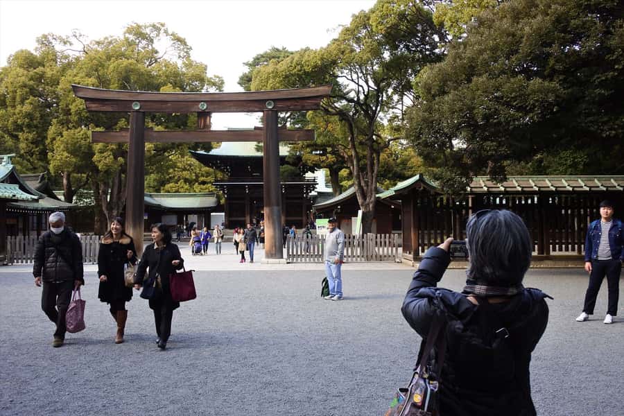 Highlights of Tokyo Private Tour with a Licensed Guide - Who will get the most from this tour