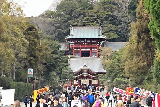 Historic Kamakura: Temples, Shrines and Street Food Private Walking Tour - Tea among the bamboo at Hokoku-ji