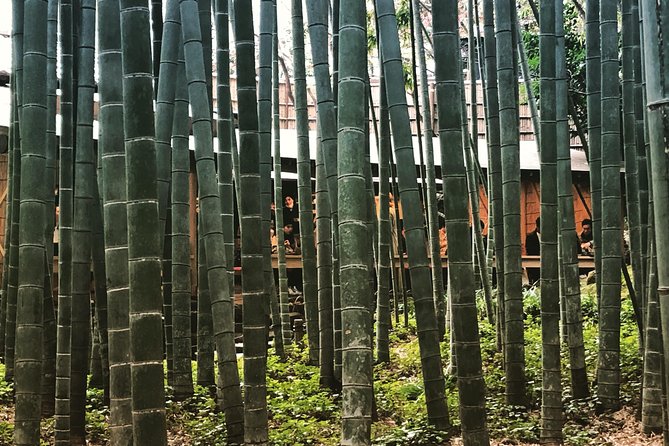 Historic Kamakura: Temples, Shrines and Street Food Private Walking Tour - Pace, fitness, and practical planning