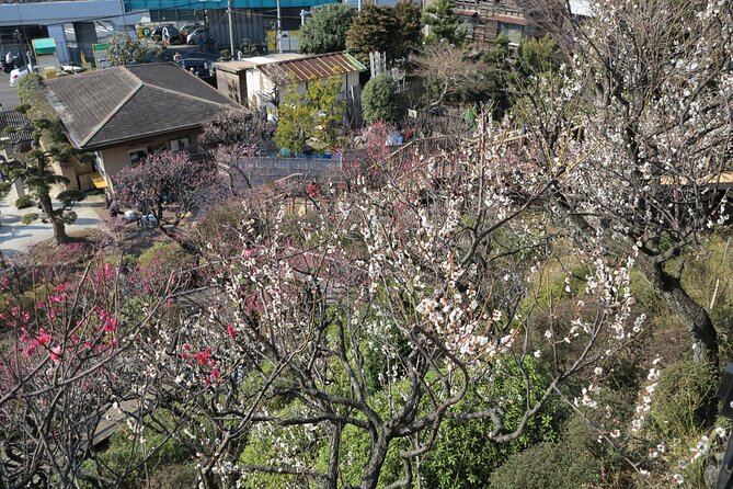 Historic Temple・traditional Japanese garden& Eating around at a shopping strip - Two hours on Togoshi Ginza Shopping Street