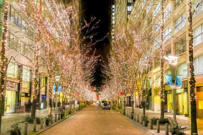 Holiday Lights Walk Tour Hibiya Midtown Tokyo Station Marunouchi - The Peninsula Tokyo and the first Christmas tree
