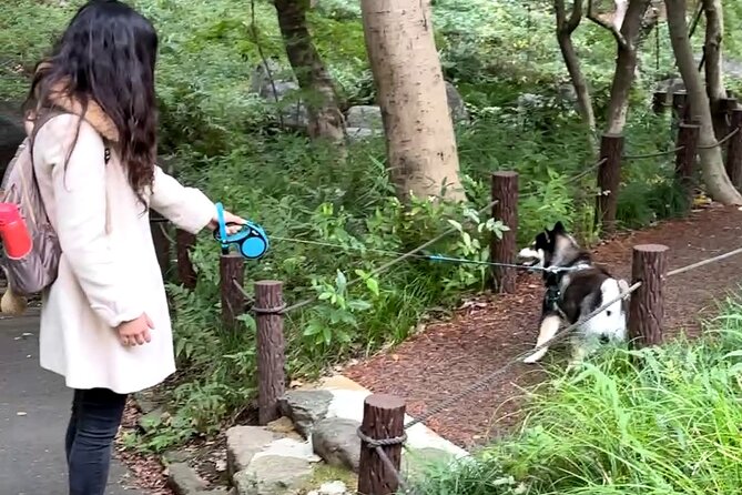 Home Cooking with a Local Host (Optional Shiba Inu Picnic) - The special discount and privacy tradeoff