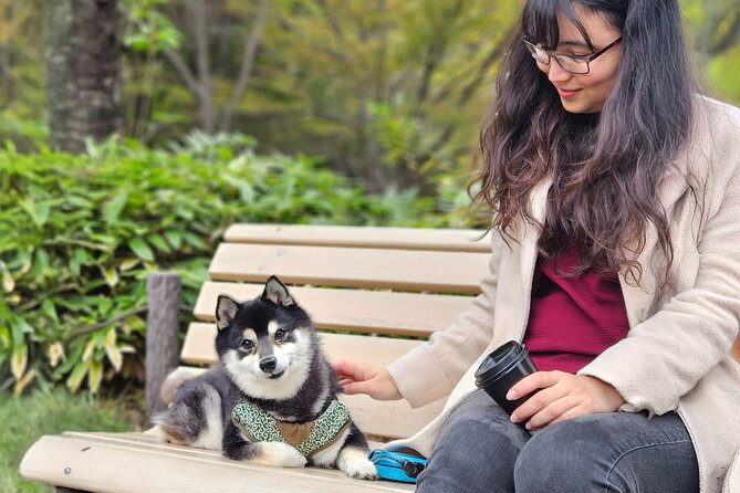 Home Cooking with a Local Host (Optional Shiba Inu Picnic) - Picnic lunch with Ginta the Shiba Inu