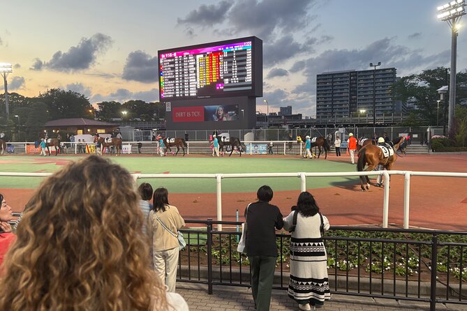 Horse Racing Tour with Local Fans in Tokyo, Oi Racecourse - Key points to know before you book