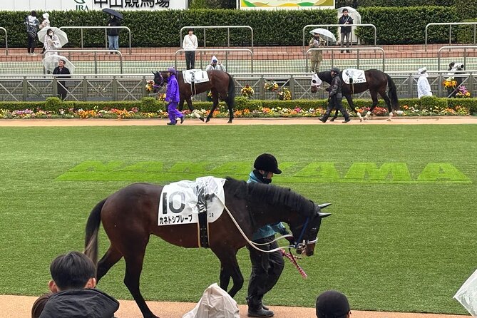 Horse Racing Tour with Local Fans in Tokyo, Oi Racecourse - How the ¥100 betting system works