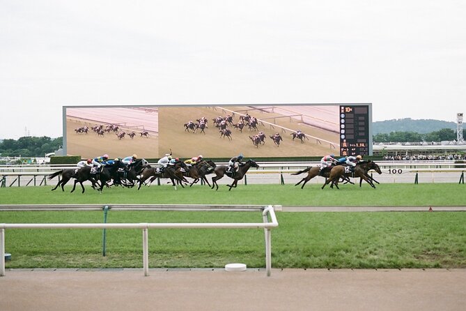 Horse Racing Tour with Local Fans in Tokyo Racecourse - A plain-English introduction to Japanese horse racing